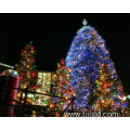 String Lights Christmas Tree